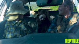 Avery Wilds - A Hot Hitchhiker Only Means One Thing Double Penetration Dont Tell Your Mom 21 01 2026